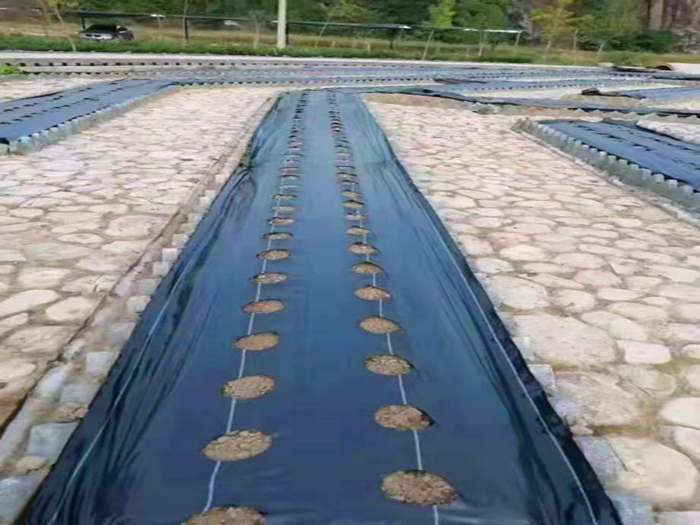 果园防草布规格和价格多少