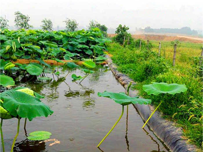 水产养殖防渗膜一平方多少钱?