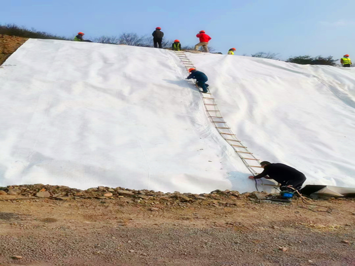 尾矿库复合土工膜设计多少克的?每平方价格多少钱?