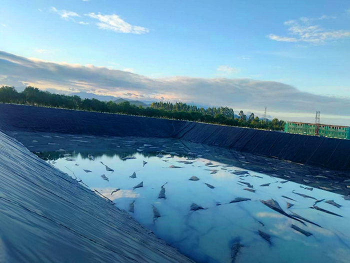 养殖防渗膜选择什么标准的合适?