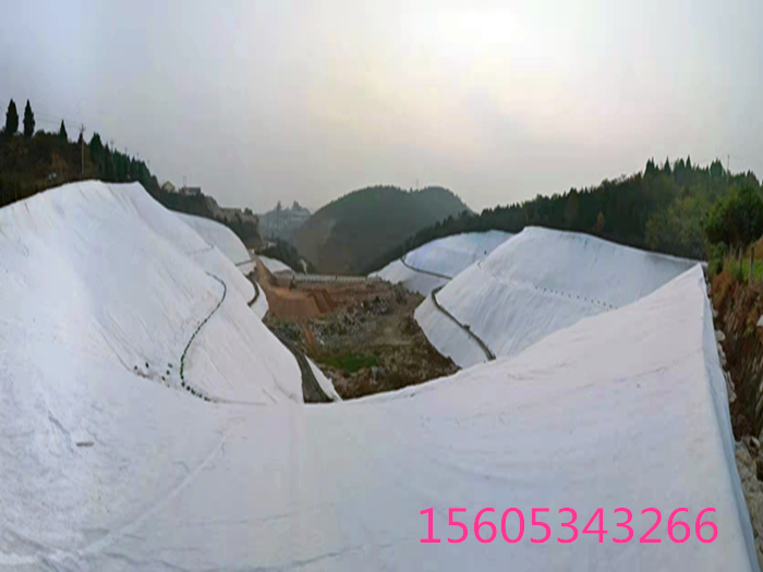 内蒙古复合土工膜价格多少钱一平方？