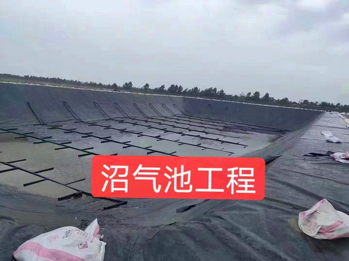 黑膜厌氧塘采用什么标准的土工膜合适?