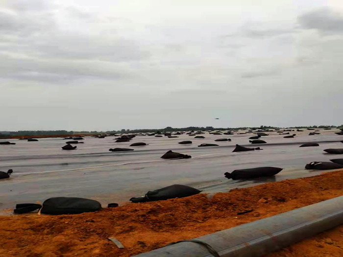 垃圾场土工膜临时封场用多厚的?合一平方多少钱?